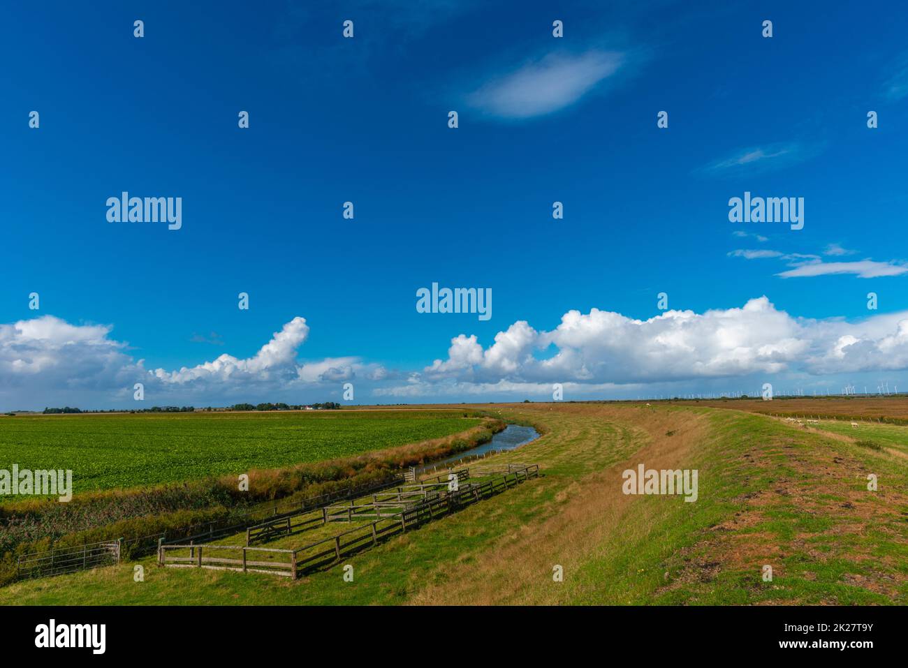 Campagna agricola della penisola di Nordstrand, Mare del Nord, Frisia del Nord, Schleswig-Holstein, Germania del Nord, Foto Stock