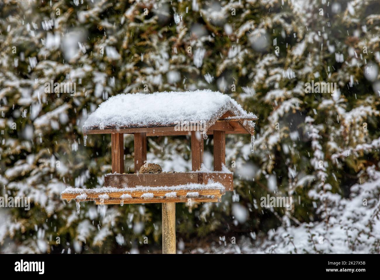 bird feeder in giardino invernale ghiacciato innevato Foto Stock