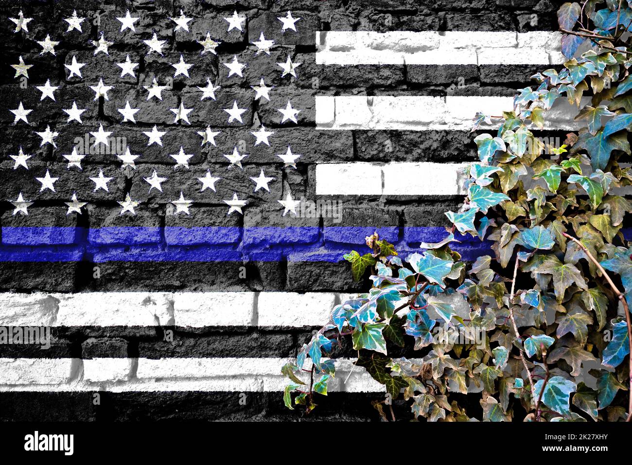 USA sottile linea blu grunge nero e bianco bandiera su muro di mattoni con edera pianta Foto Stock