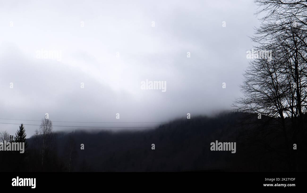 Pioggia autunnale e nebbia sulle colline di montagna. Misty autunno foresta coperta di basse nuvole. Ucraina. Alberi di abete rosso foresta sulle colline di montagne che si attacca attraverso la nebbia mattutina sui paesaggi autunnali. Foto Stock