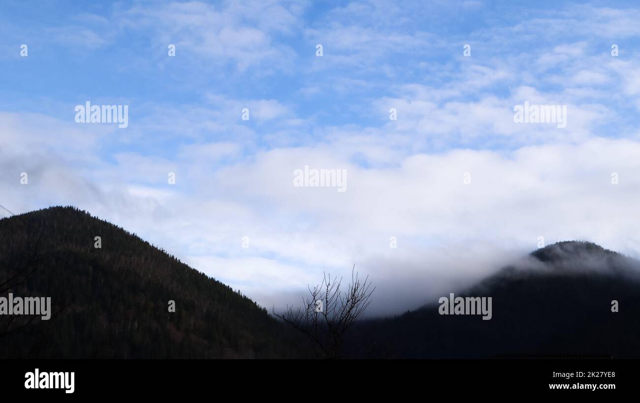 Pioggia autunnale e nebbia sulle colline di montagna. Misty autunno foresta coperta di basse nuvole. Ucraina. Alberi di abete rosso foresta sulle colline di montagne che si attacca attraverso la nebbia mattutina sui paesaggi autunnali. Foto Stock