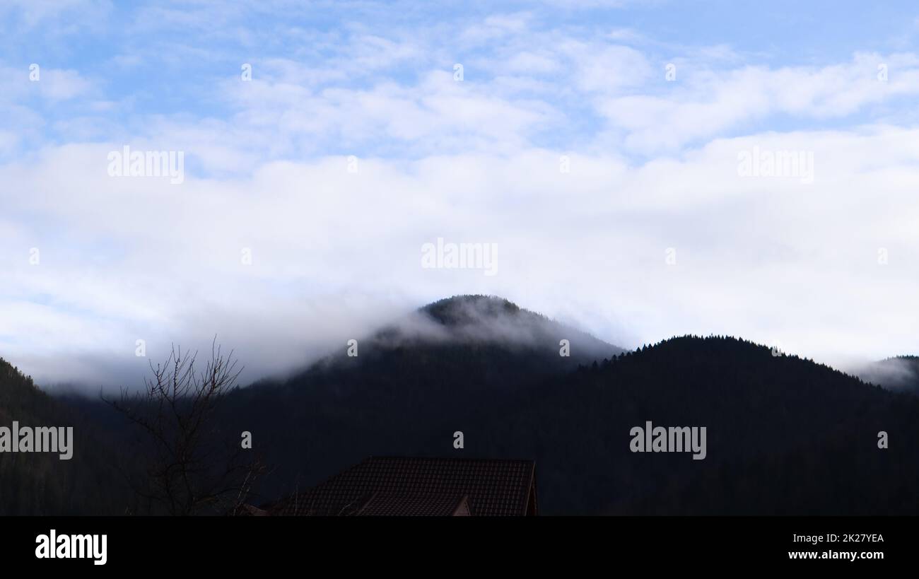 Pioggia autunnale e nebbia sulle colline di montagna. Misty autunno foresta coperta di basse nuvole. Ucraina. Alberi di abete rosso foresta sulle colline di montagne che si attacca attraverso la nebbia mattutina sui paesaggi autunnali. Foto Stock