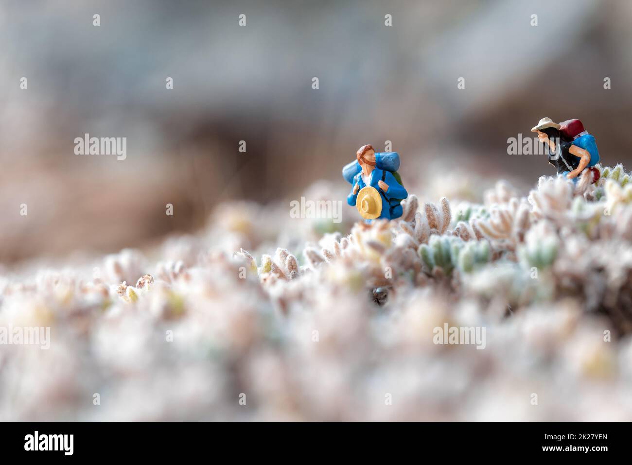 Coppia escursionista in miniatura in un prato. Foto macro Foto Stock