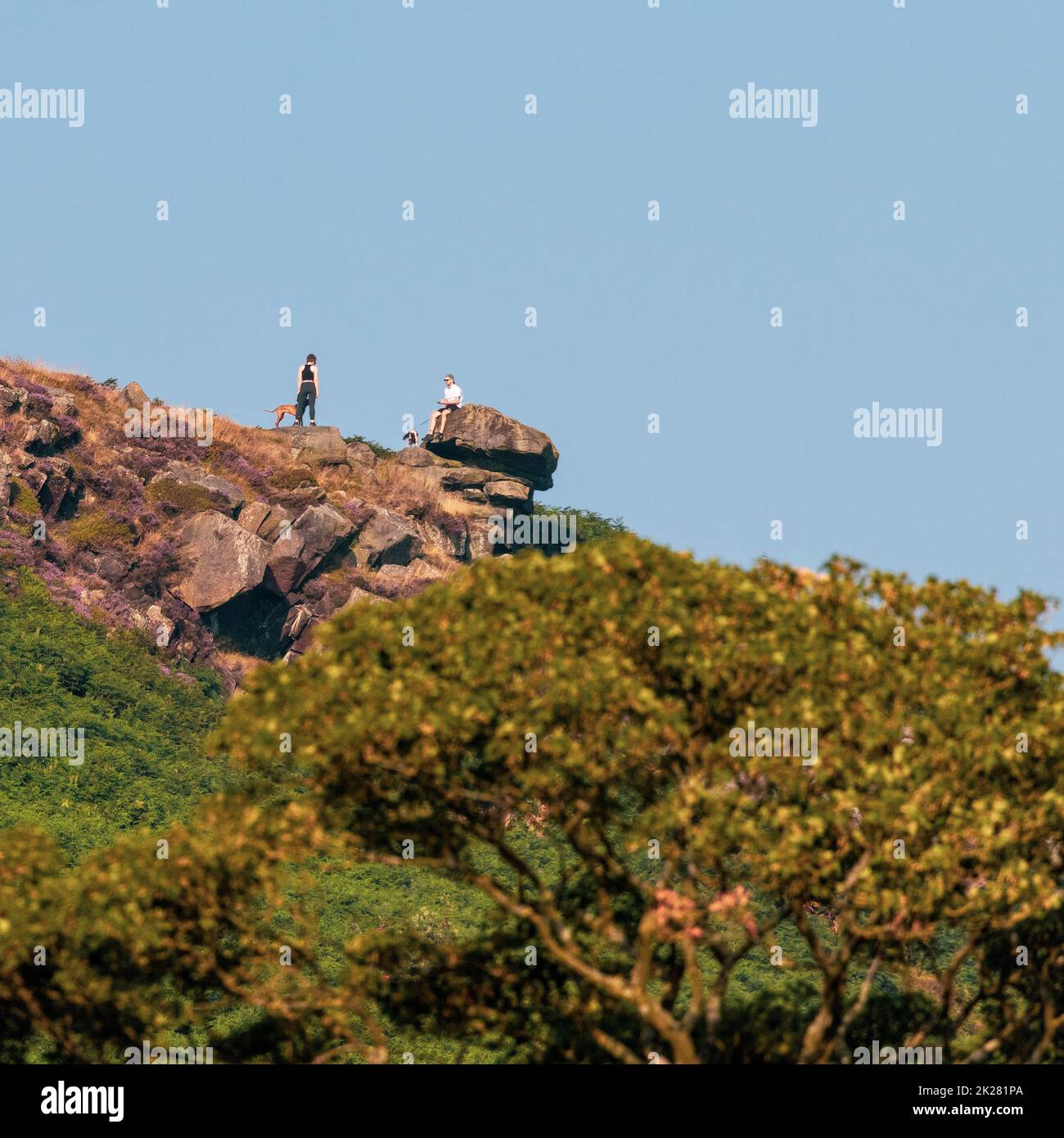 Due persone con cani che chiacchierano al Pancake Stone su Ilkley Moor, West Yorkshire, Inghilterra, Regno Unito Foto Stock