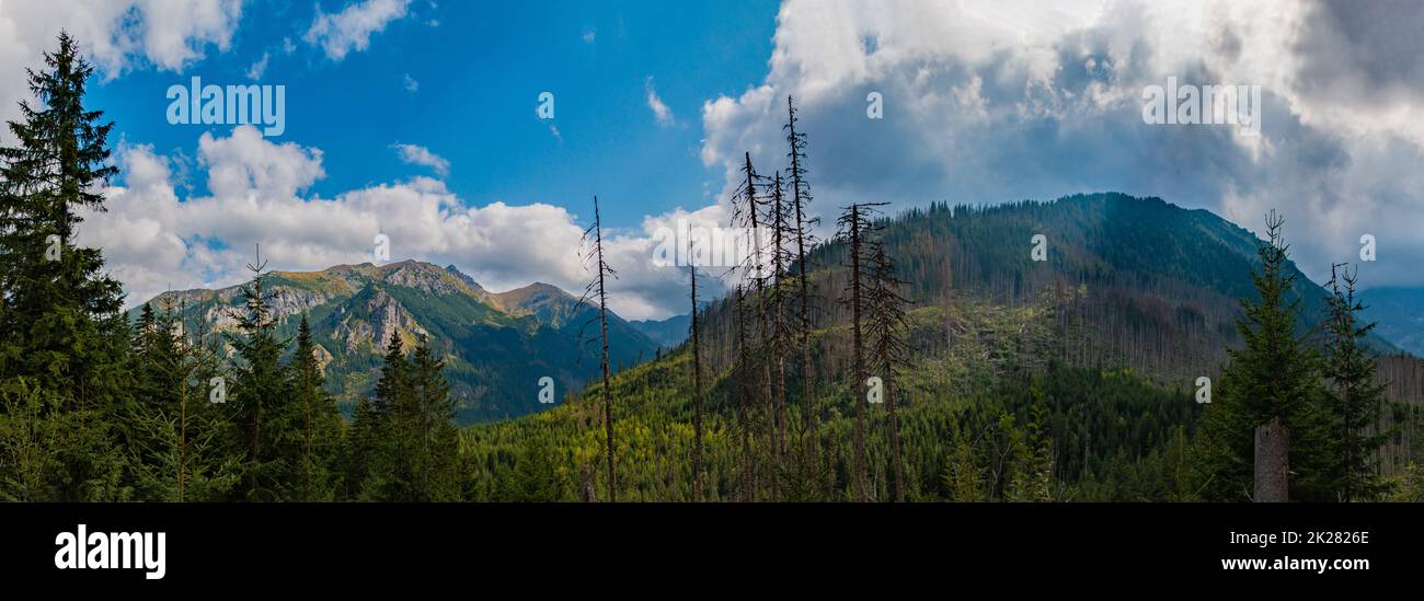 Panorama dei Monti Tatra Foto Stock
