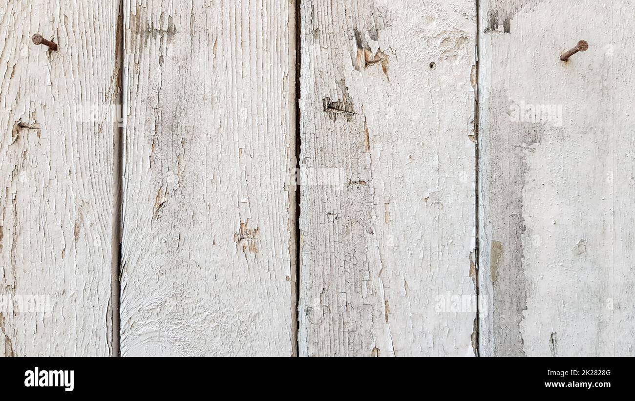 Struttura del legno struttura del legno bianco con motivi naturali sfondo. Pavimento in legno, superficie di fondo vecchia da alberi naturali. Foto Stock