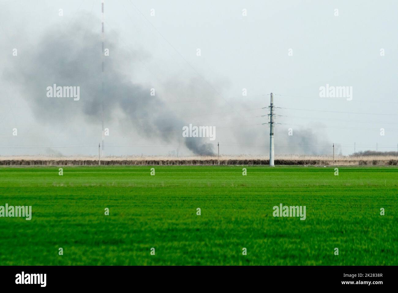 Il fuoco è lontano nel campo. Clubs di fumo dalla combustione di canne e canna. Foto Stock