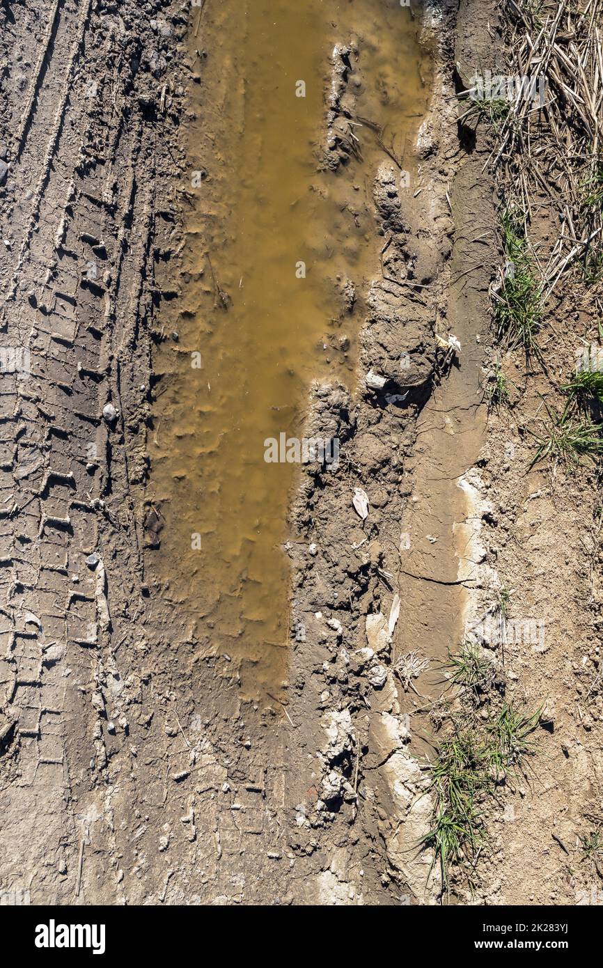 Tracce di pneumatici su una strada fangosa Foto Stock