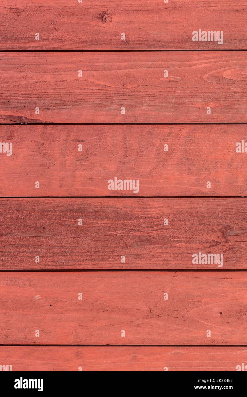 Legno naturale texture di sfondo. Spazio di copia, banner Foto Stock