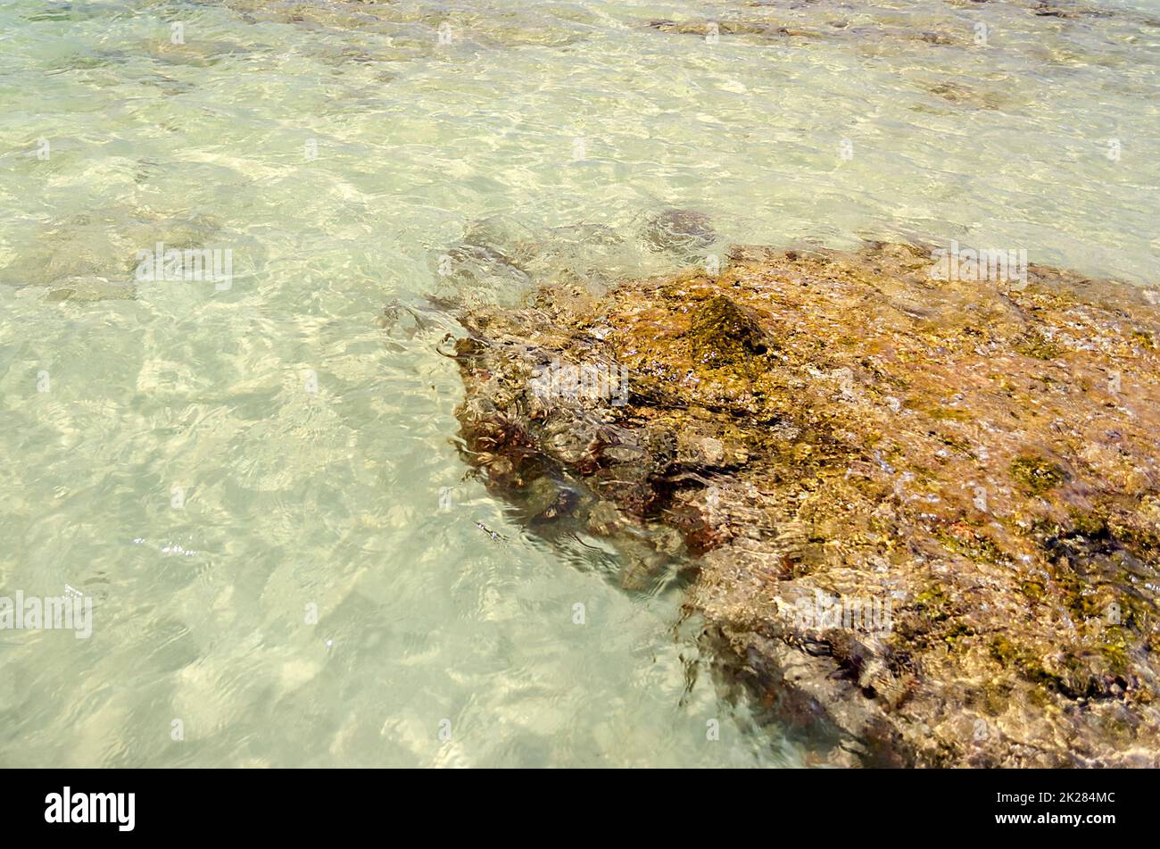 Un fondo di sabbia bianca nel Salento bellissima spiaggia di sabbia, Italia Foto Stock