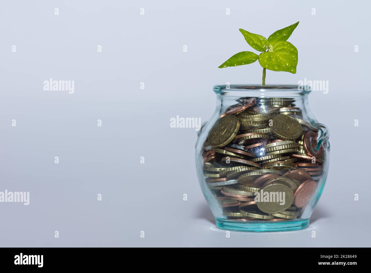 vetro con molte monete diverse e una pianta verde aumentare i soldi al mercato finanziario con sfondo bianco grande Foto Stock