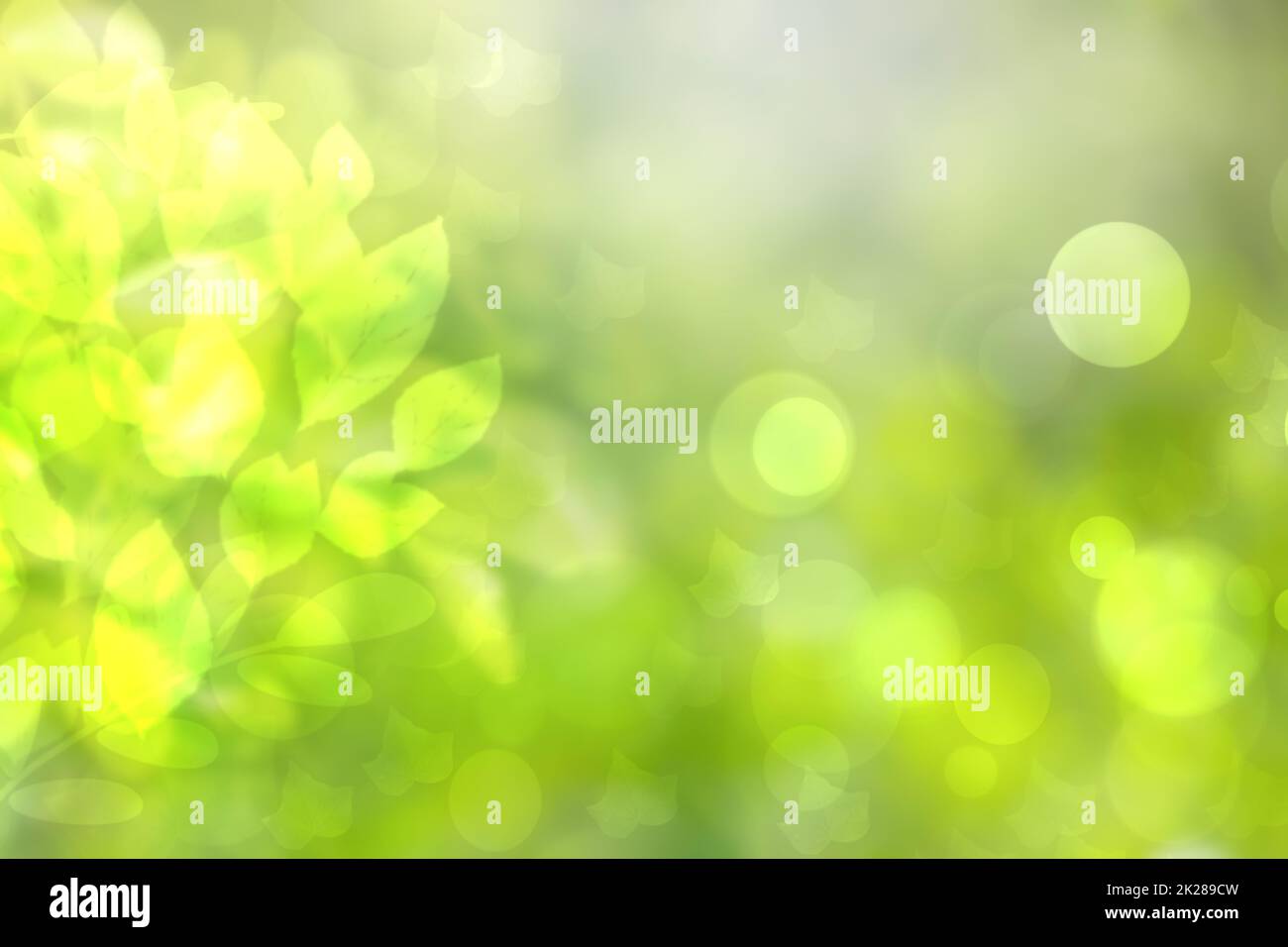 Abstract di gradiente di luce verde e giallo pastello colorato della primavera o estate sfondo bokeh di fondo con foglie e luci circolari. Bella la texture. Foto Stock