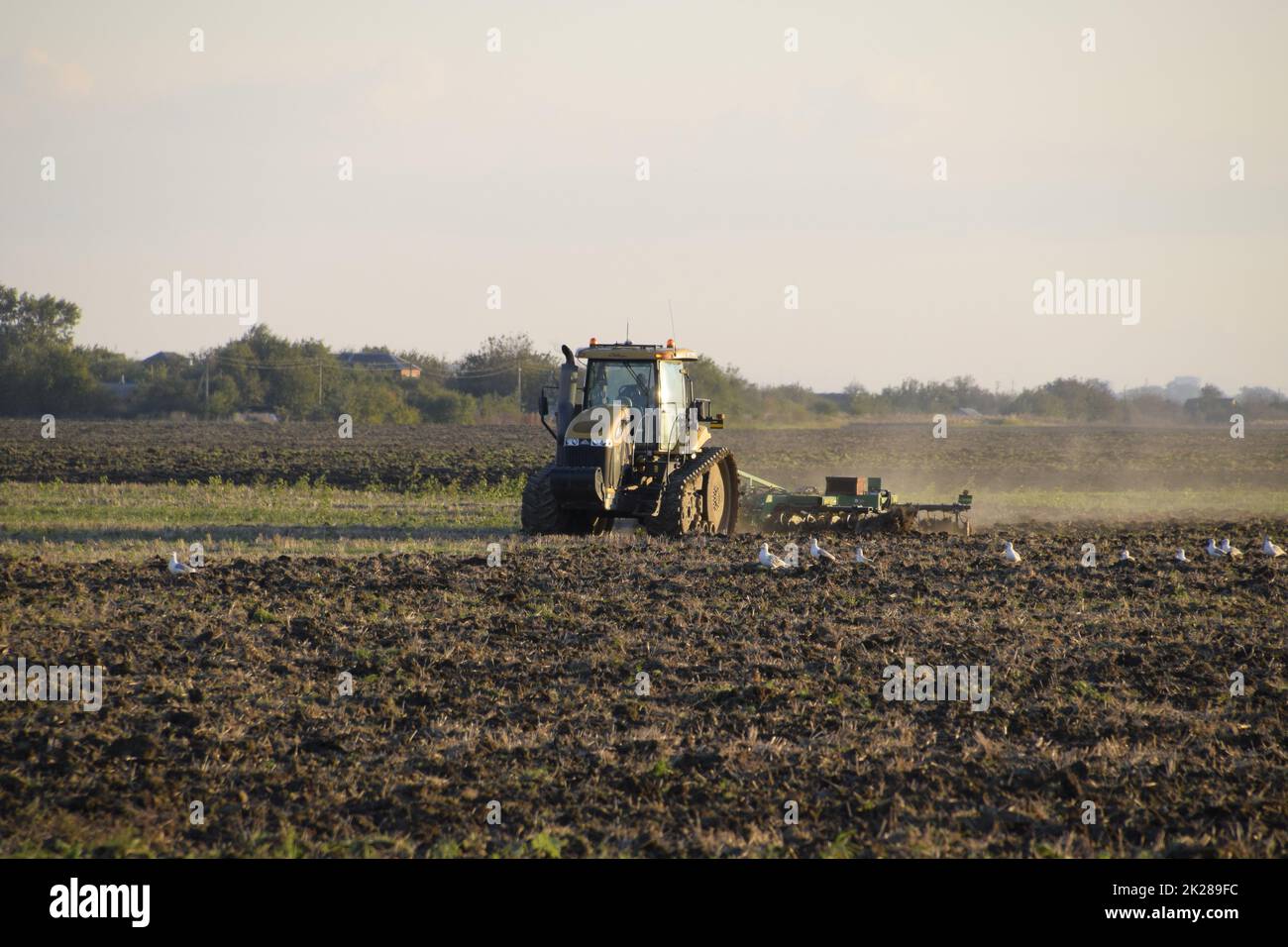 Il trattore aratura arare il campo. Coltivando il suolo nella caduta dopo raccolto. La fine della stagione Foto Stock
