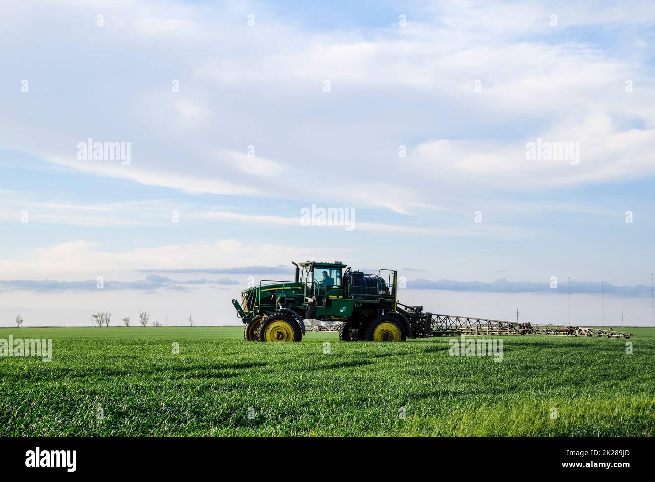 Trattore con dispositivo di spruzzatura per fertilizzante finemente disperso. Trattore sullo sfondo del tramonto. Il trattore con ruote alte sta fabbricando fertilizzante sul grano giovane. L'uso di prodotti chimici spray finemente dispersi Foto Stock