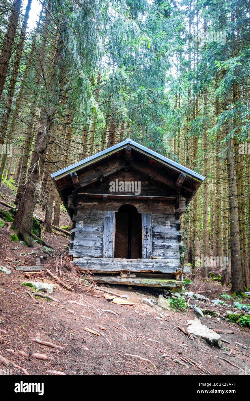 Piccola cabina in legno in una foresta di abeti bui Foto Stock