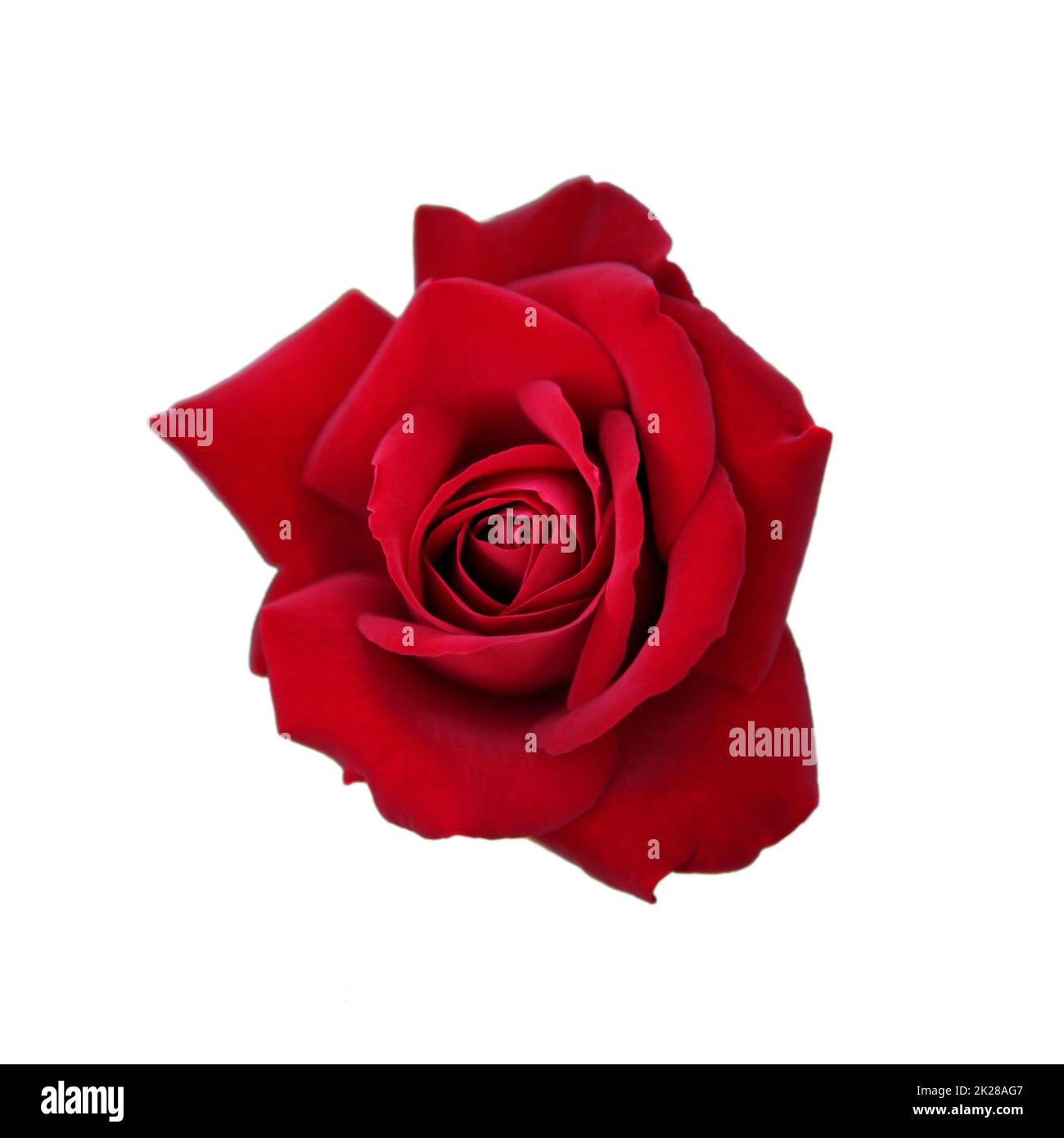 Buon San Valentino. Complimenti e sfondo romantico. Foto Stock