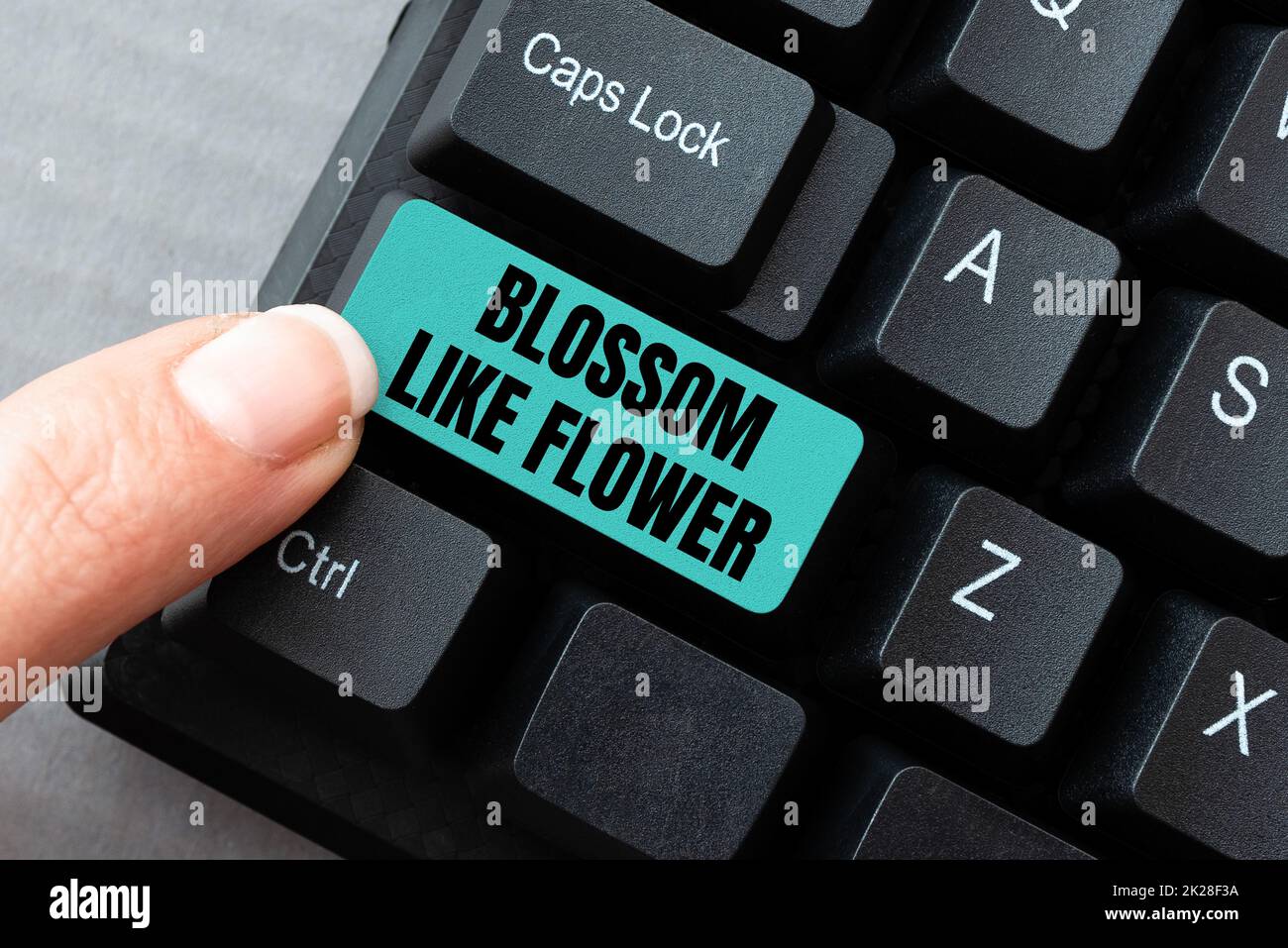 Scrittura a mano di testo Blossom come Flower. Parola scritta sulla persona con buone qualità che irradia l'amore, la felicità e la bellezza digitando nuovo concetto dei titoli del email, redando idee dell'articolo del Internet Foto Stock