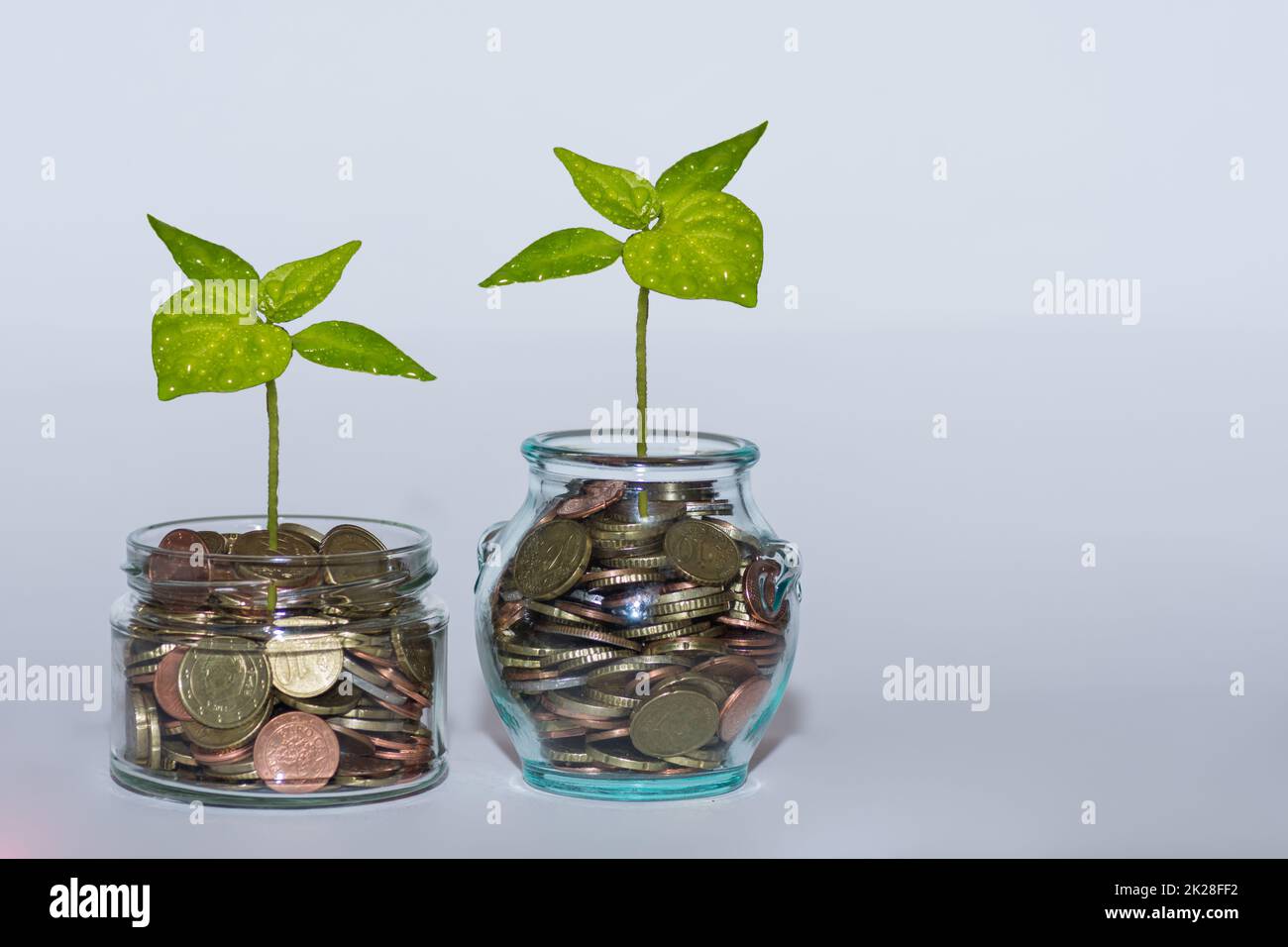 due bicchieri con monete e una pianta verde aumentare i soldi al mercato finanziario con bianco Foto Stock