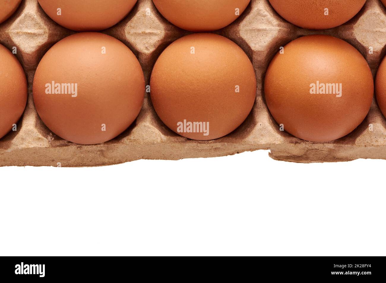uova su un supporto di cartone su uno sfondo bianco isolato, spazio copia Foto Stock