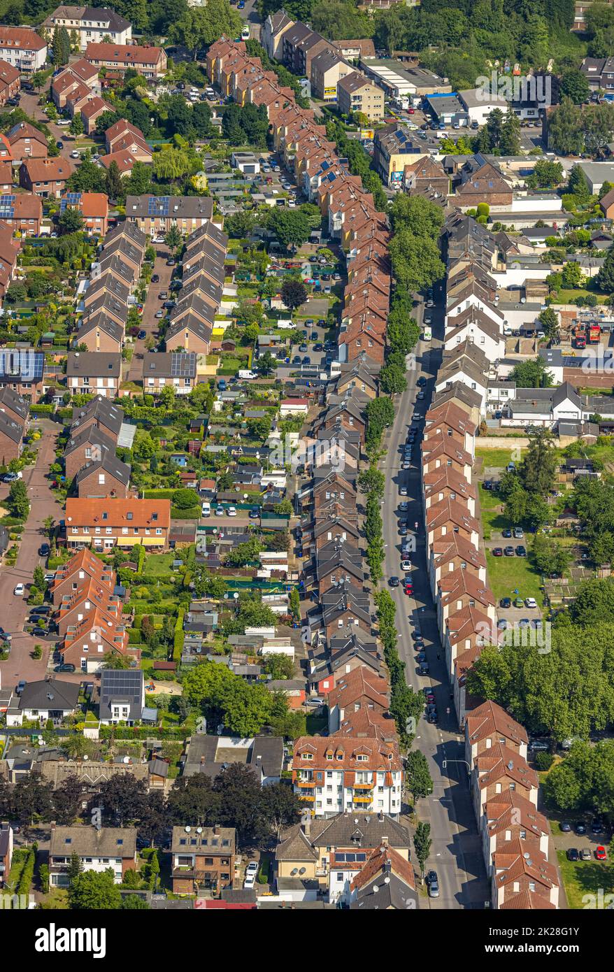 Vista aerea, fila di case con tetti rossi, strada di campagna, Butendorf, Gladbeck, Ruhr, Renania settentrionale-Vestfalia, Germania, DE, Europa, tassa di proprietà, Ho Foto Stock