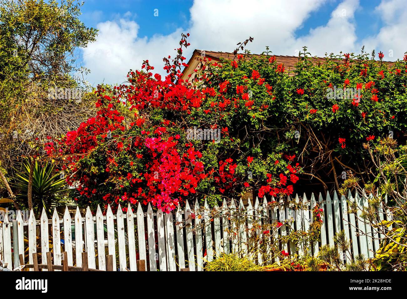 Recinzione bianca e fiori. Foto Stock