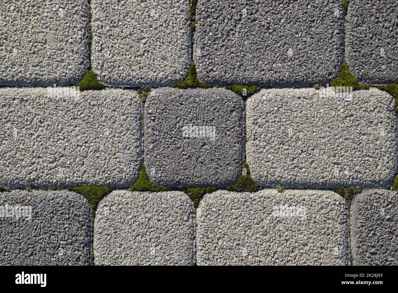Fondo industriale di pavimentazioni in lastre con sovra-crescita di muschio nelle crepe. Texturing sfondo Foto Stock