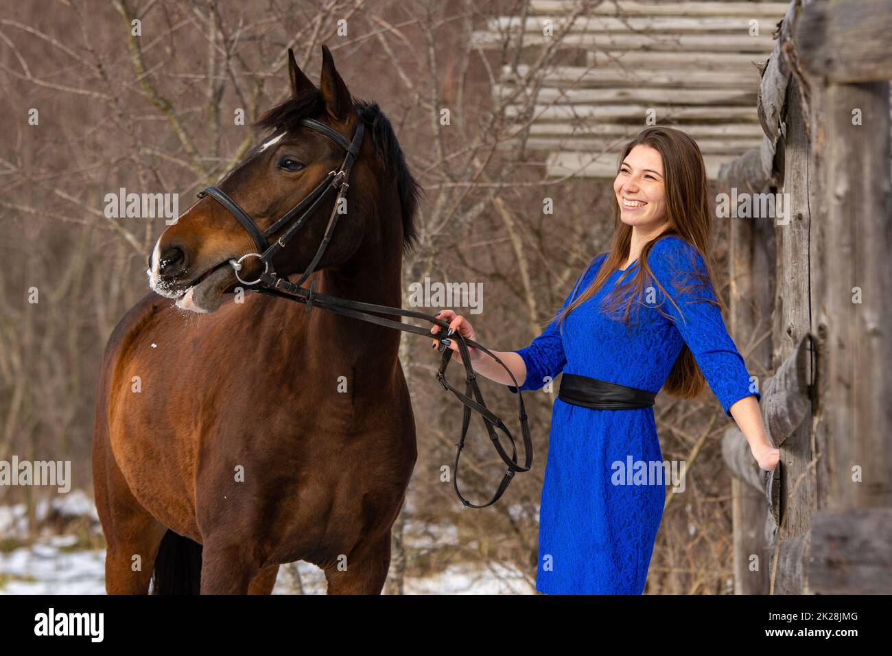 Una ragazza felice tiene un cavallo vicino alla briglia e sorride, sullo sfondo di una foresta invernale Foto Stock