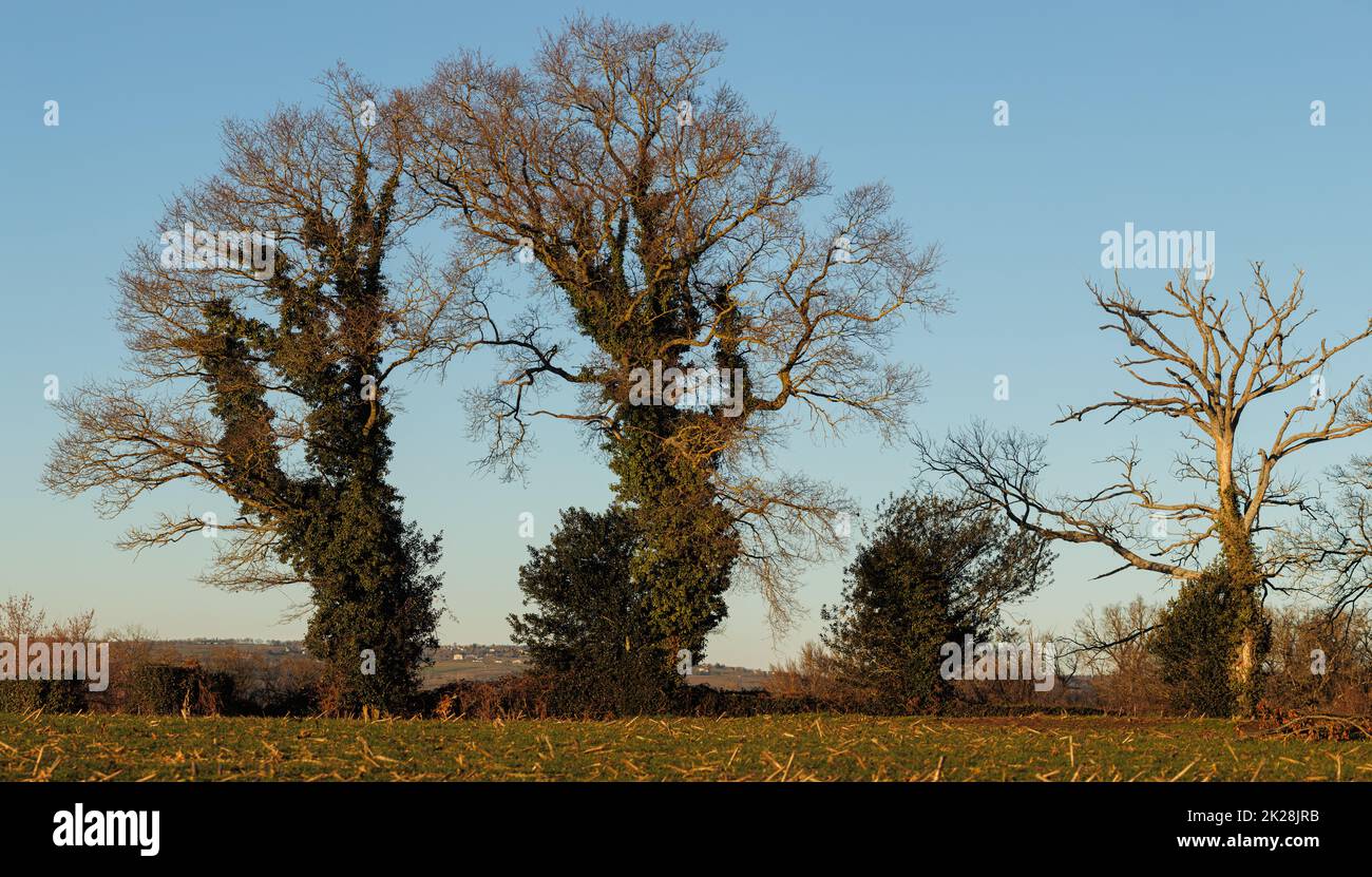 Paesaggio blu con collina in Francia Aveyron Foto Stock