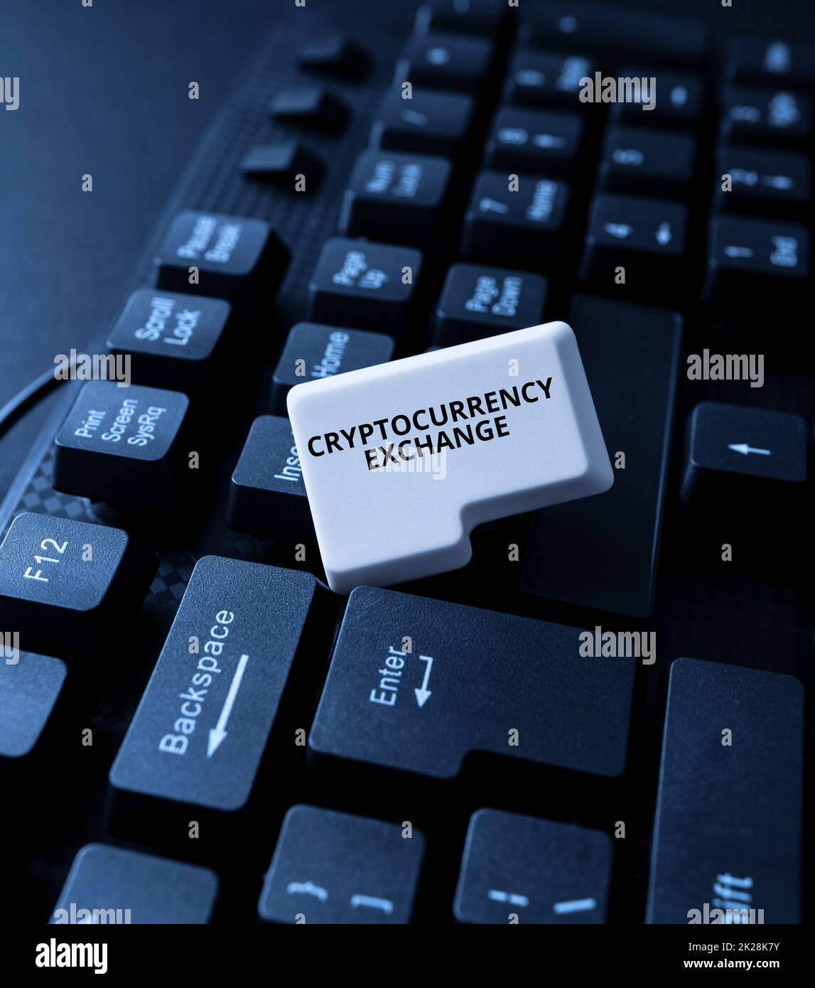 Ispirazione che mostra il segno Cryptocurrency Exchange. Business Concept consente al cliente di commerciare denaro digitale per altre risorse creando immissione dati e digitando lavori, pubblicazione sul sito Web di vendita online Foto Stock