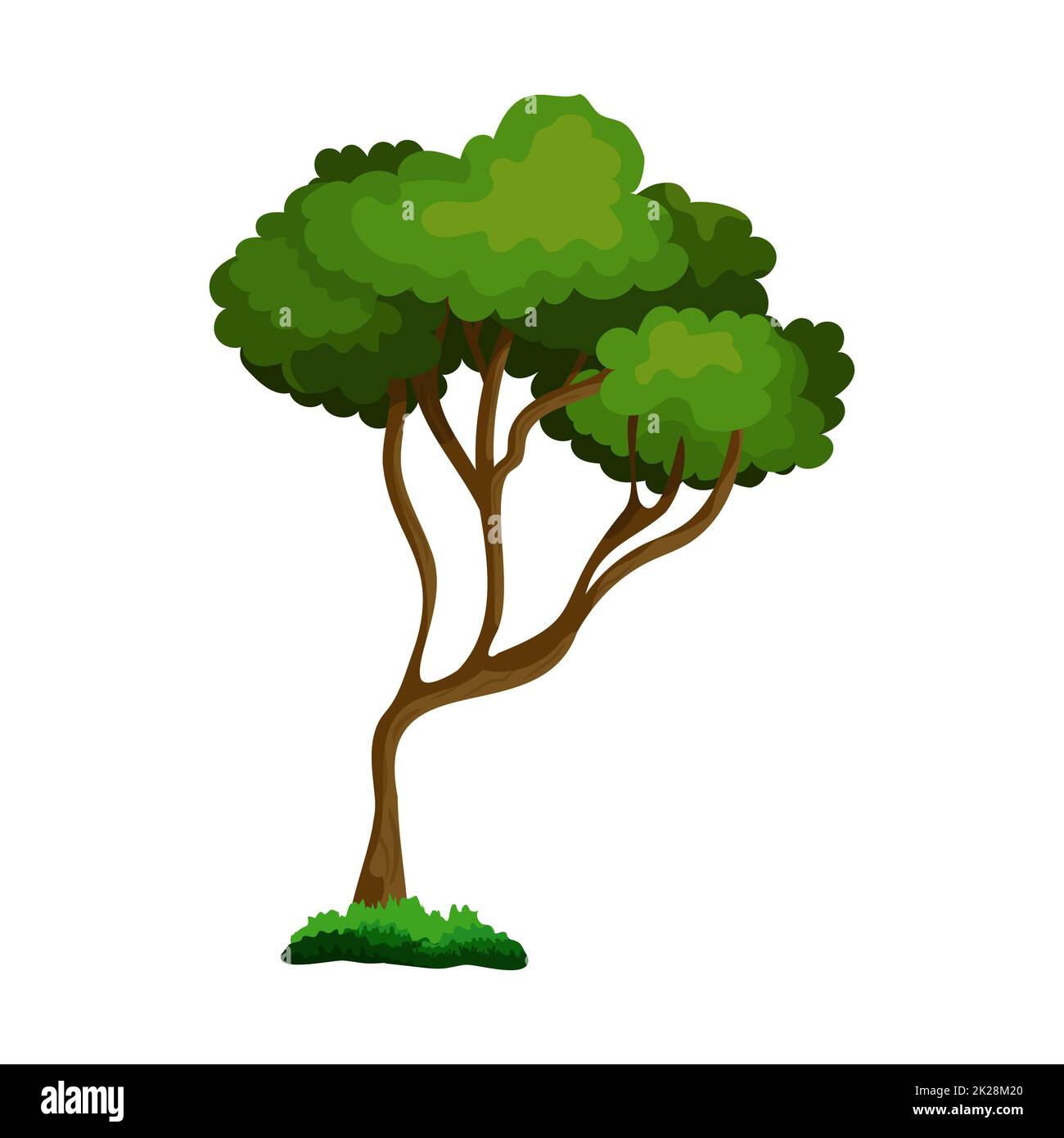 Cespuglio verdeggiante realistico isolato su sfondo bianco - Vector Foto Stock