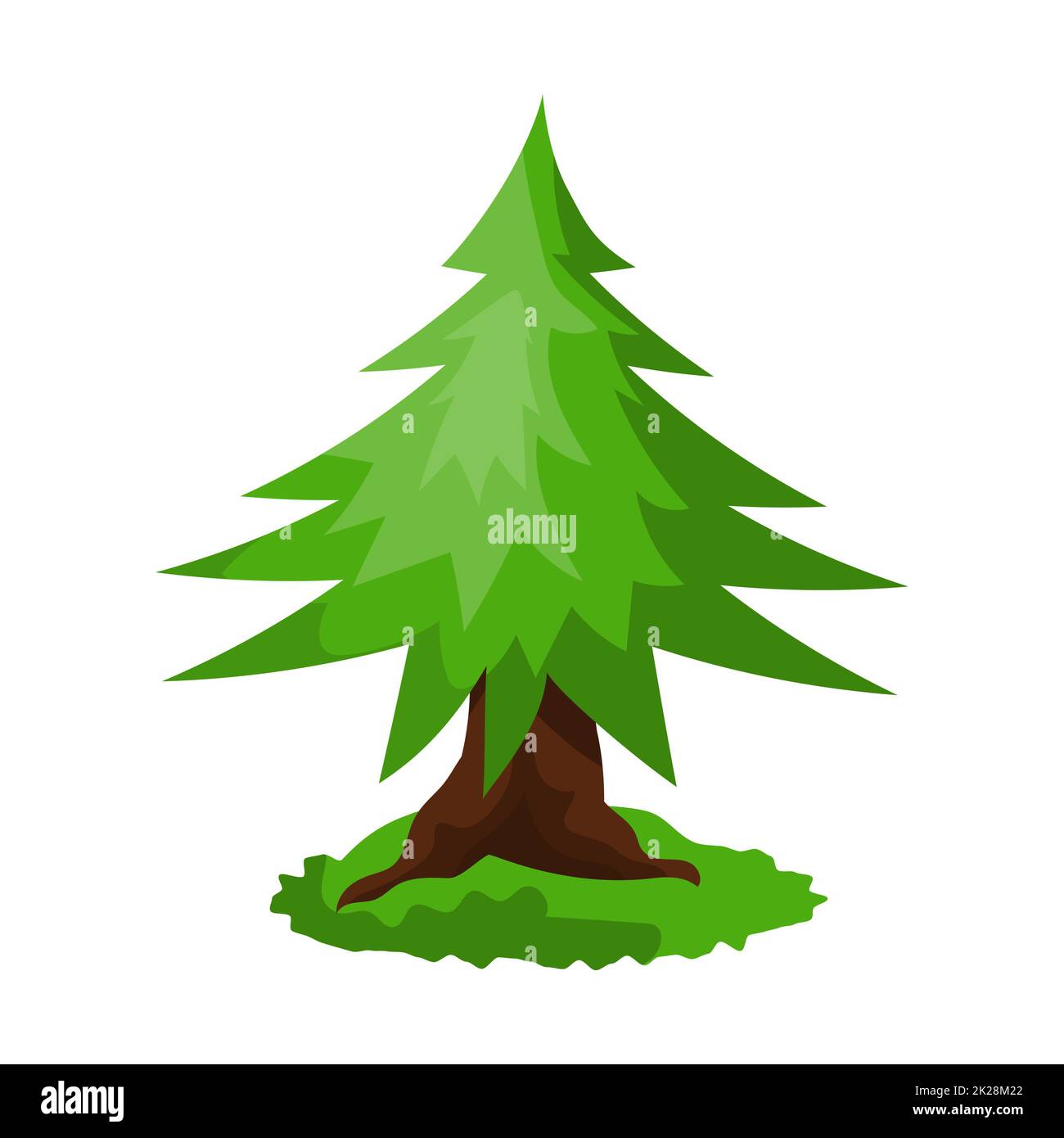 Abete rosso verde denso realistico isolato su sfondo bianco - Vector Foto Stock