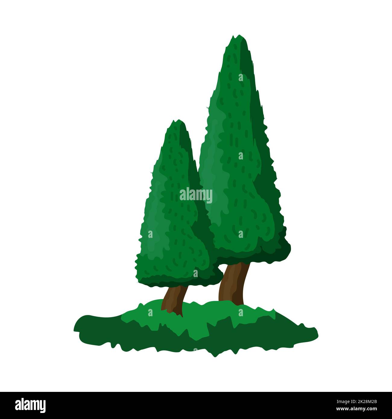 Abete verde denso realistico su sfondo bianco - Vector Foto Stock