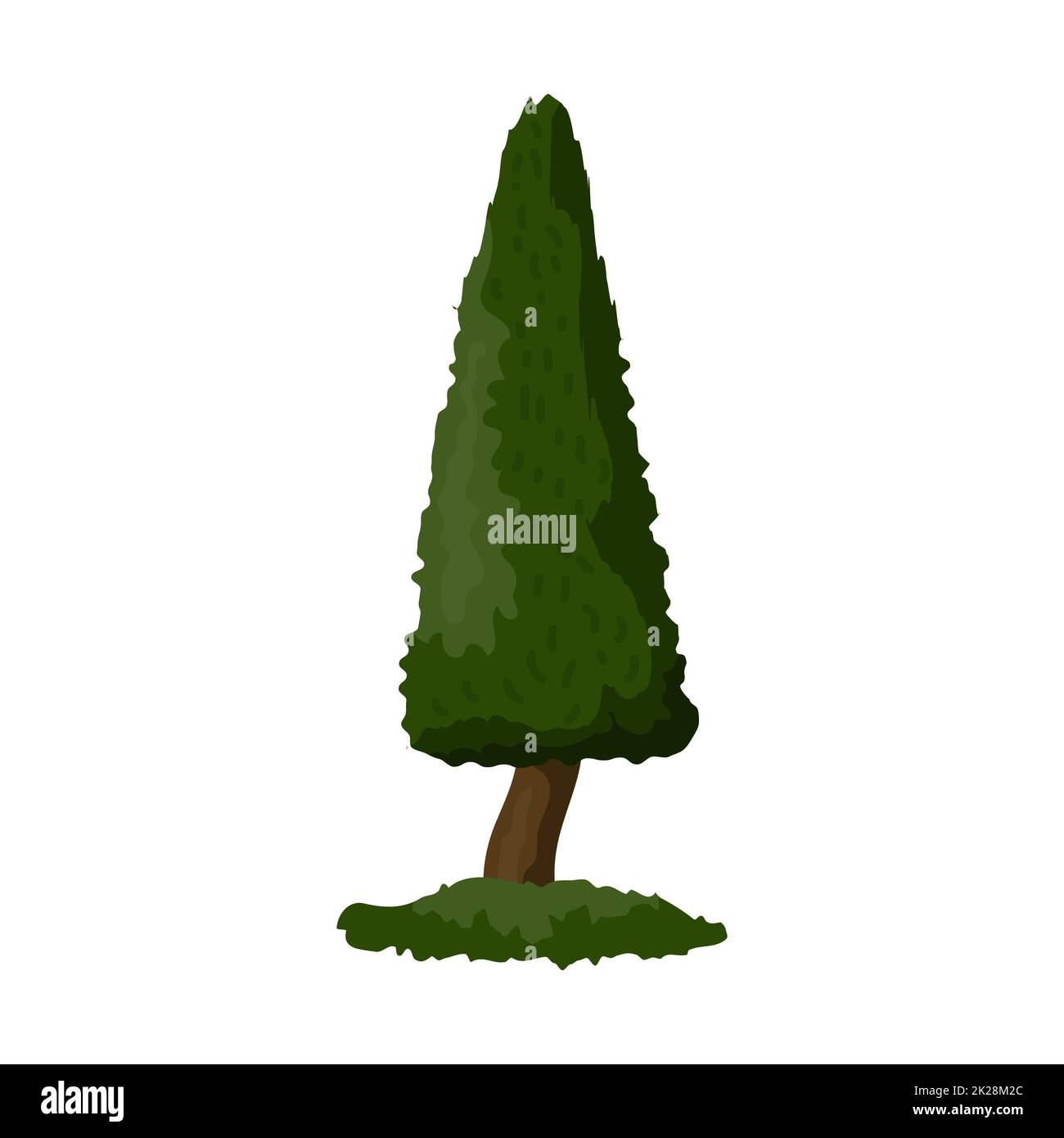 Abete rosso verde denso realistico isolato su sfondo bianco - Vector Foto Stock