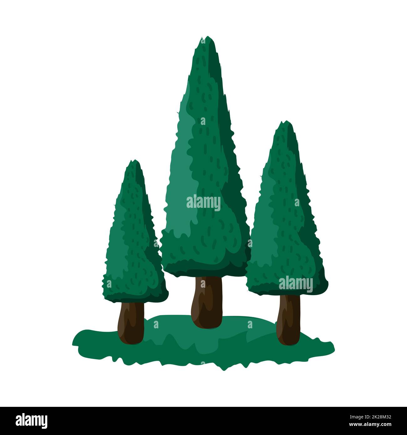 Abete verde denso realistico su sfondo bianco - Vector Foto Stock