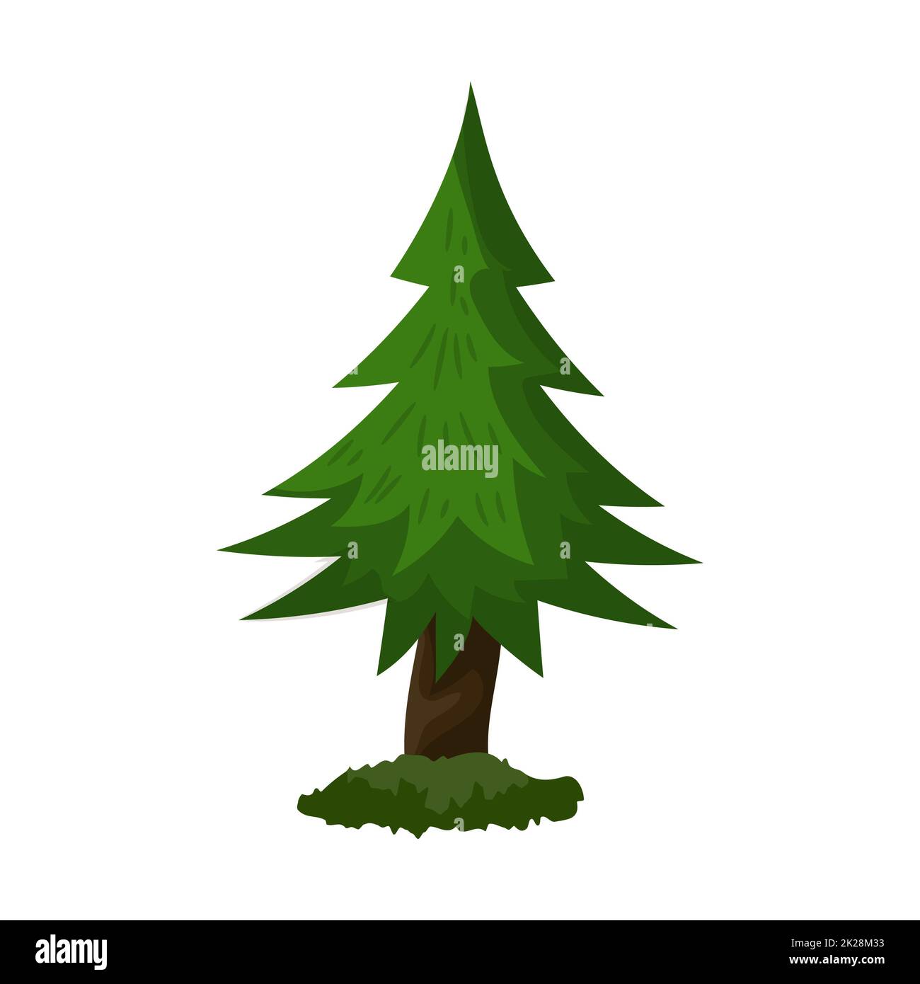 Abete rosso verde denso realistico isolato su sfondo bianco - Vector Foto Stock