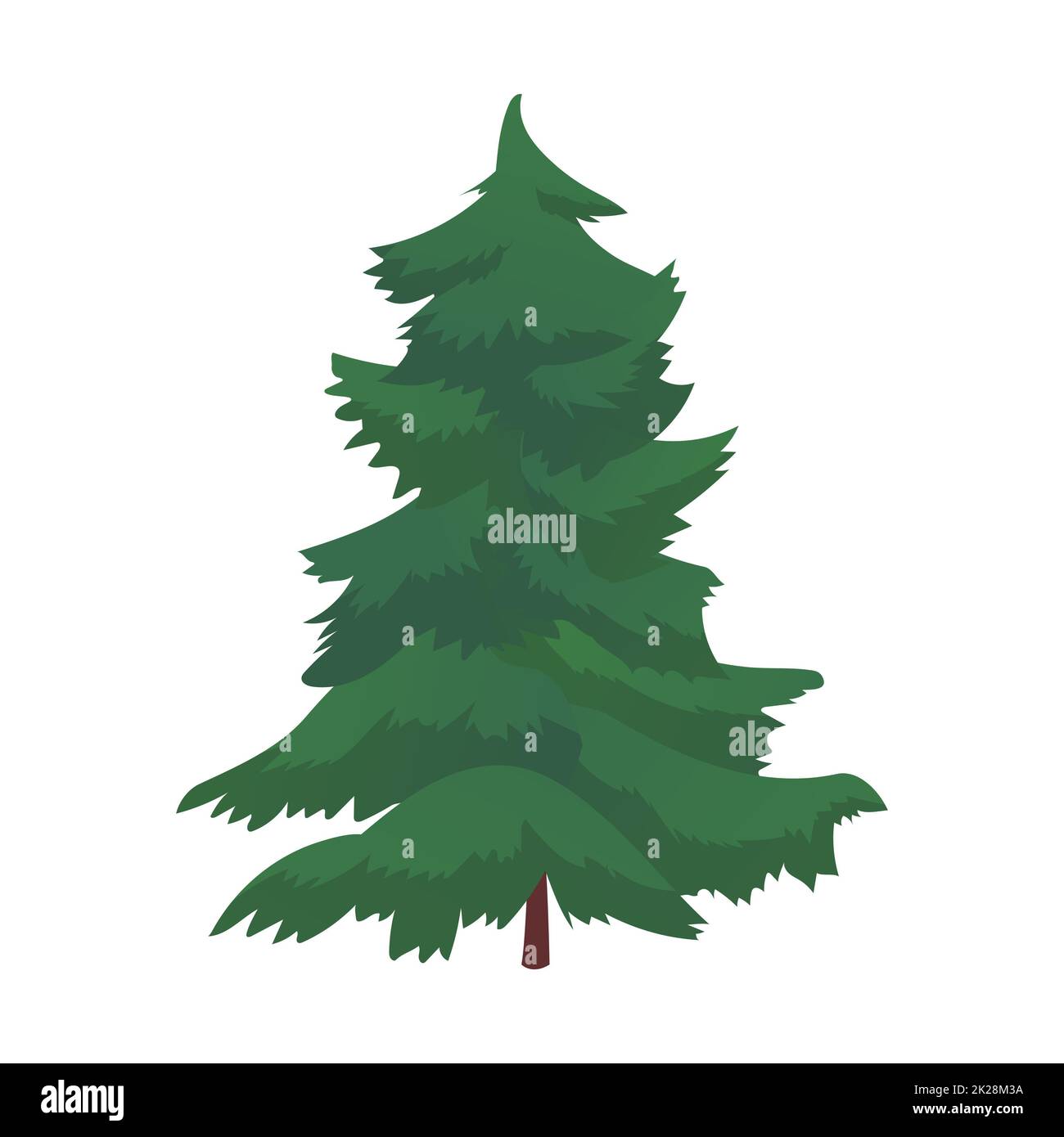 Abete rosso verde denso realistico isolato su sfondo bianco - Vector Foto Stock