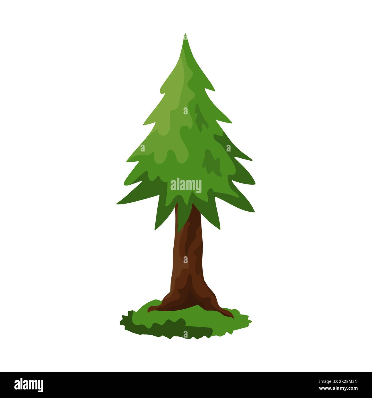 Abete rosso verde denso realistico isolato su sfondo bianco - Vector Foto Stock