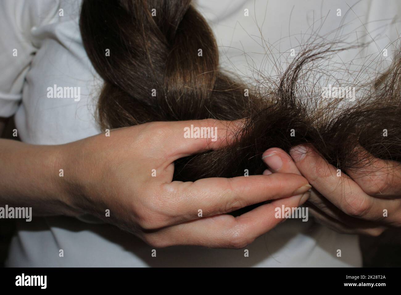 Una ragazza con lunghi capelli scuri intrecciati tiene in mano le estremità dei capelli danneggiati. Problema di perdita dei capelli. Foto Stock