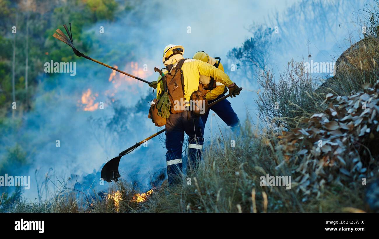 Prendere il filo da mano a mano. Vigili del fuoco che combattono un fuoco selvaggio. Foto Stock