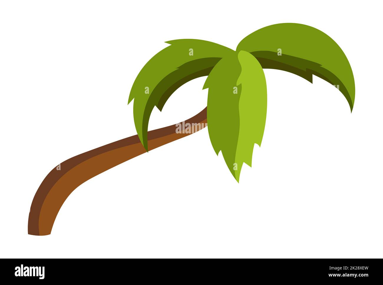 Albero di palma verde astratto isolato su sfondo bianco - Vector Foto Stock