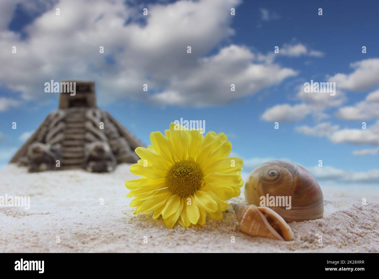 Fiore e conchiglia sulla sabbia con piramide sullo sfondo, DOF poco profondo Foto Stock
