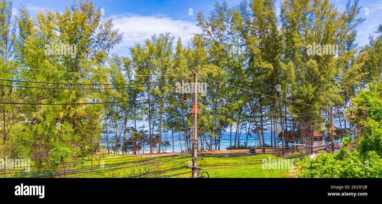 Nai Thon Naithon Beach vista dietro gli alberi Phuket Thailandia. Foto Stock