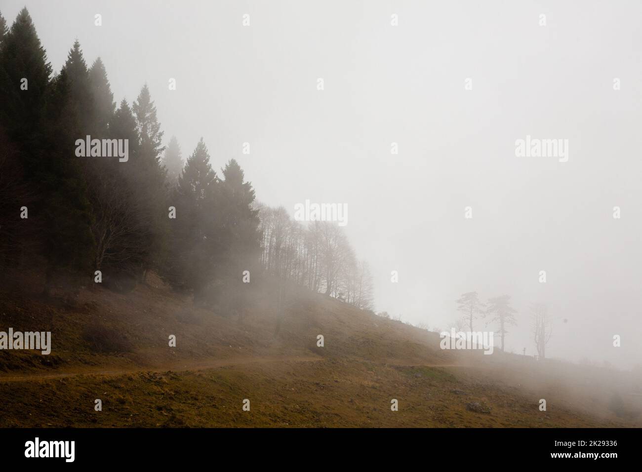 Paesaggio nebbioso dal sentiero escursionistico dell'altopiano di Asiago Foto Stock