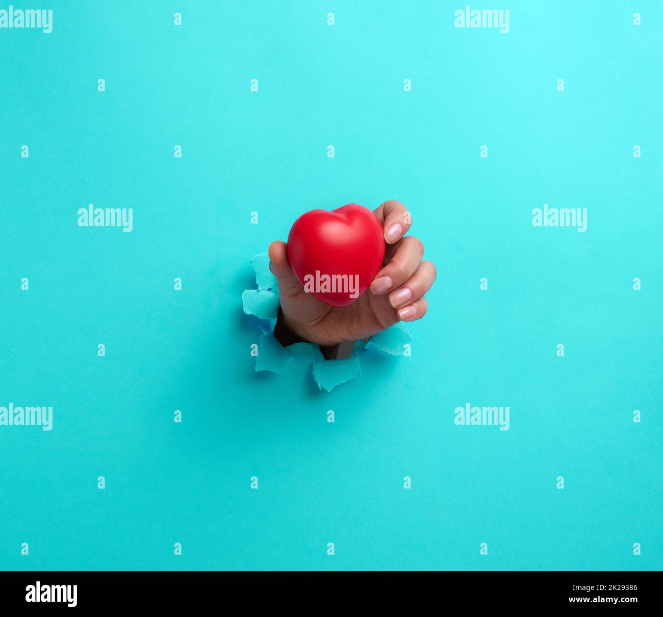 mano femminile che tiene un cuore rosso su sfondo blu. Parte del corpo fuoriesce dalla carta strappata Foto Stock