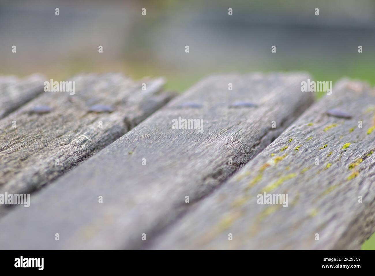 Sfondo grigio in legno primo piano di vecchie tavole e legno grigio in stile vintage e grunge guardare come rustico ruvido e antico superficie organica per la decorazione di sfondi o come naturale design della cornice Foto Stock