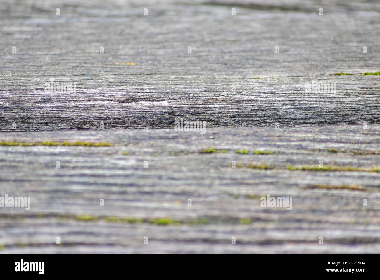 Sfondo grigio in legno primo piano di vecchie tavole e legno grigio in stile vintage e grunge guardare come rustico ruvido e antico superficie organica per la decorazione di sfondi o come naturale design della cornice Foto Stock
