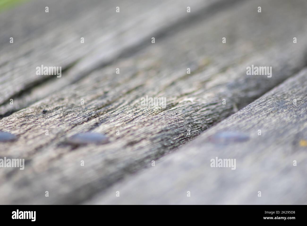 Sfondo grigio in legno primo piano di vecchie tavole e legno grigio in stile vintage e grunge guardare come rustico ruvido e antico superficie organica per la decorazione di sfondi o come naturale design della cornice Foto Stock