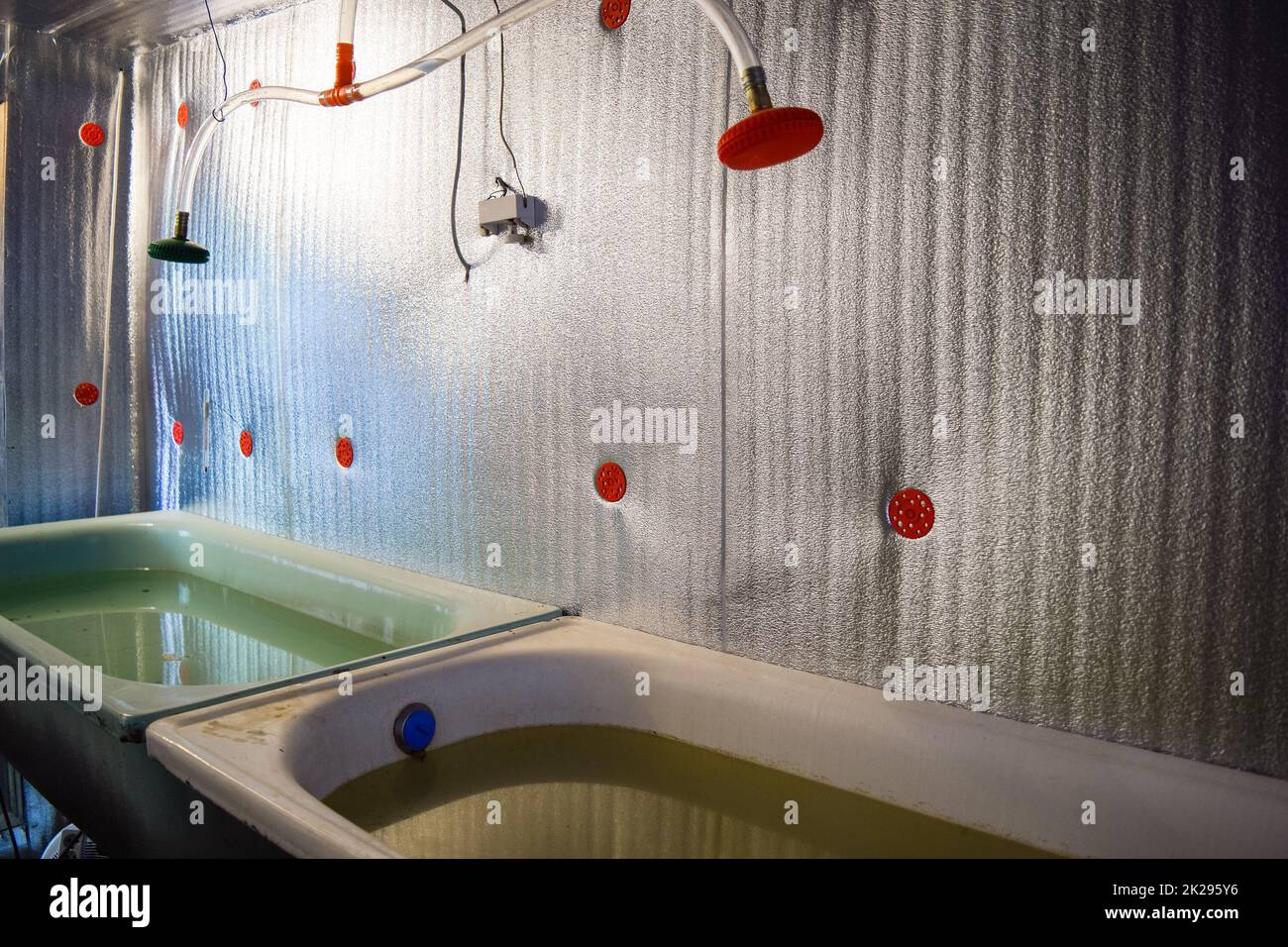 Una camera per far crescere gli avannotti. Vasca da bagno per la Repubblica federale di Iugoslavia. Un pesce-vivaio Foto Stock