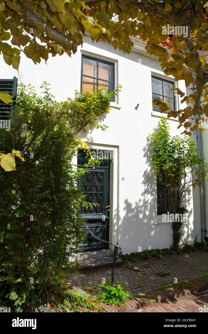 Facciata tipica della casa con albero a ZIERIKZEE, Paesi Bassi Foto Stock