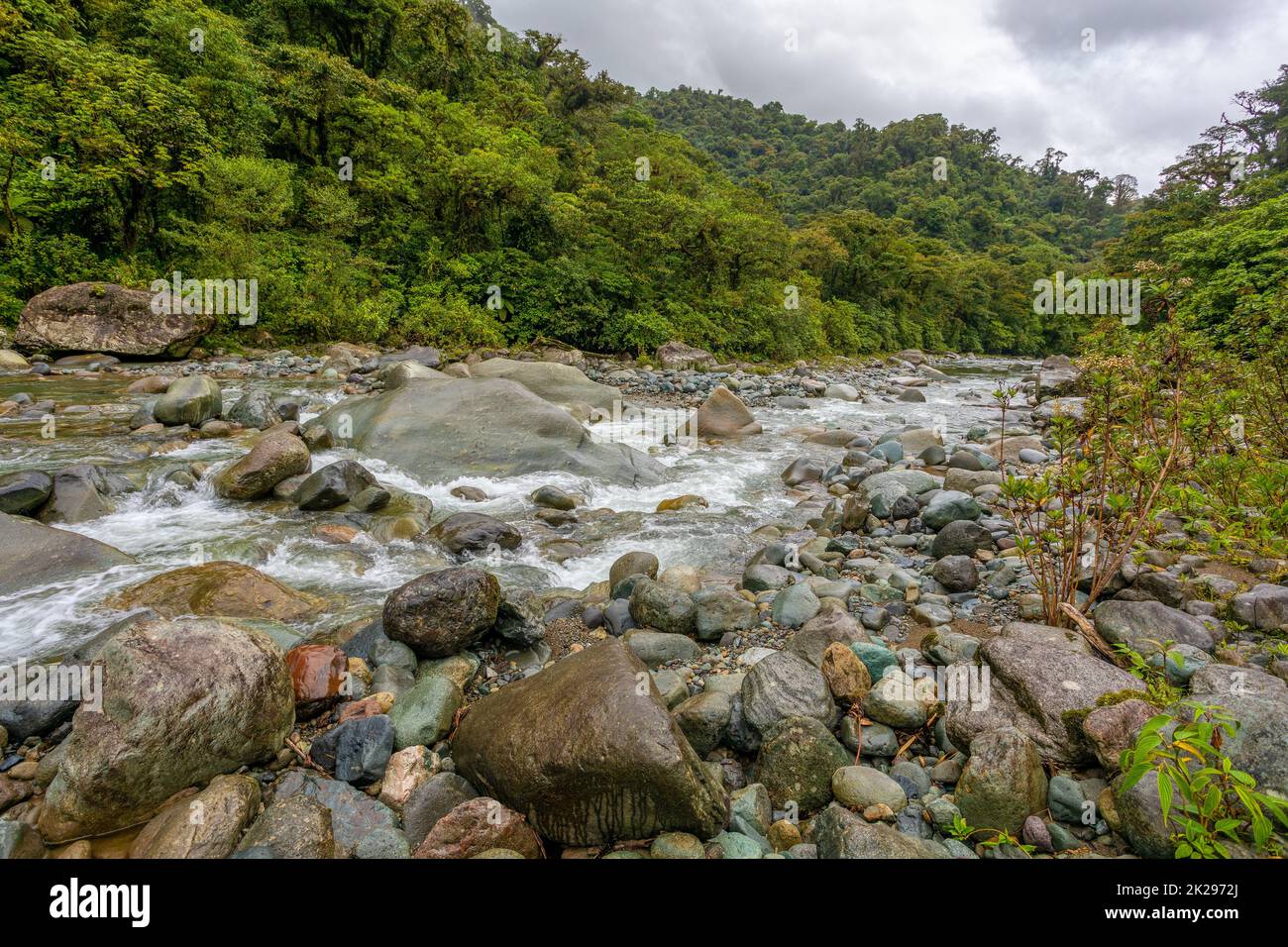 Il fiume Orosi, Tapanti - Cerro de la Muerte Parco Nazionale del Massiccio Foto Stock